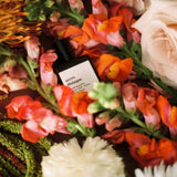 Jetzt im Löffelhase erhältlich: VERSATILE PARIS Parfum Roll-On  «accro disiaque»,15ml, vegan